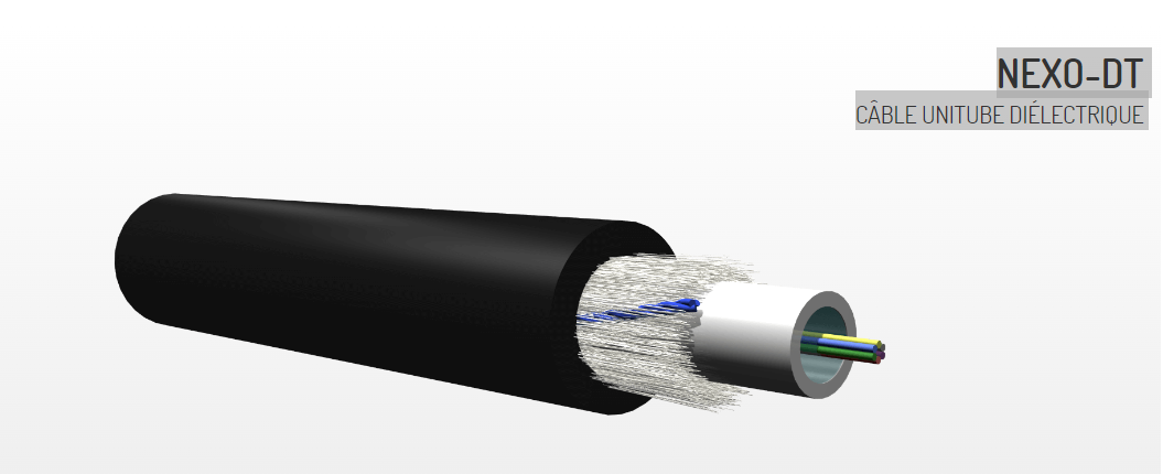 Câble unitube intérieur/extérieur 12 FO OM1 armé fibre de verre LSO